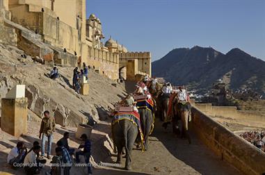 04 Fort_Amber_and Elephants,_Jaipur_DSC5020_b_H600